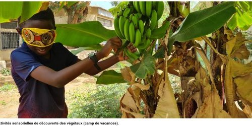 L'éducation au développement durable à l'EFS
