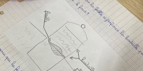 Défi scientifique en CE2