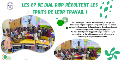 Récolte au jardin pédagogique des CP de Dial Diop
